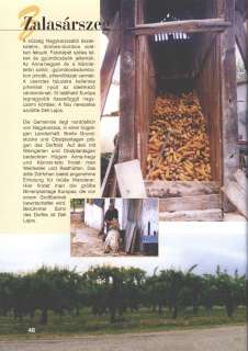 Zalasárszeg - Hívogató a Régiók Kapujában.jpg Zalasárszeg - Hívogató a Régiók Kapujában.jpg